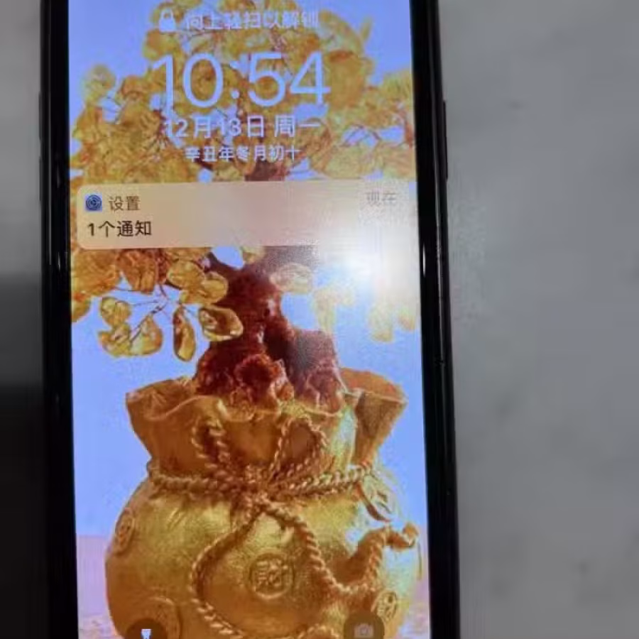 苹果XS max256 图片 3