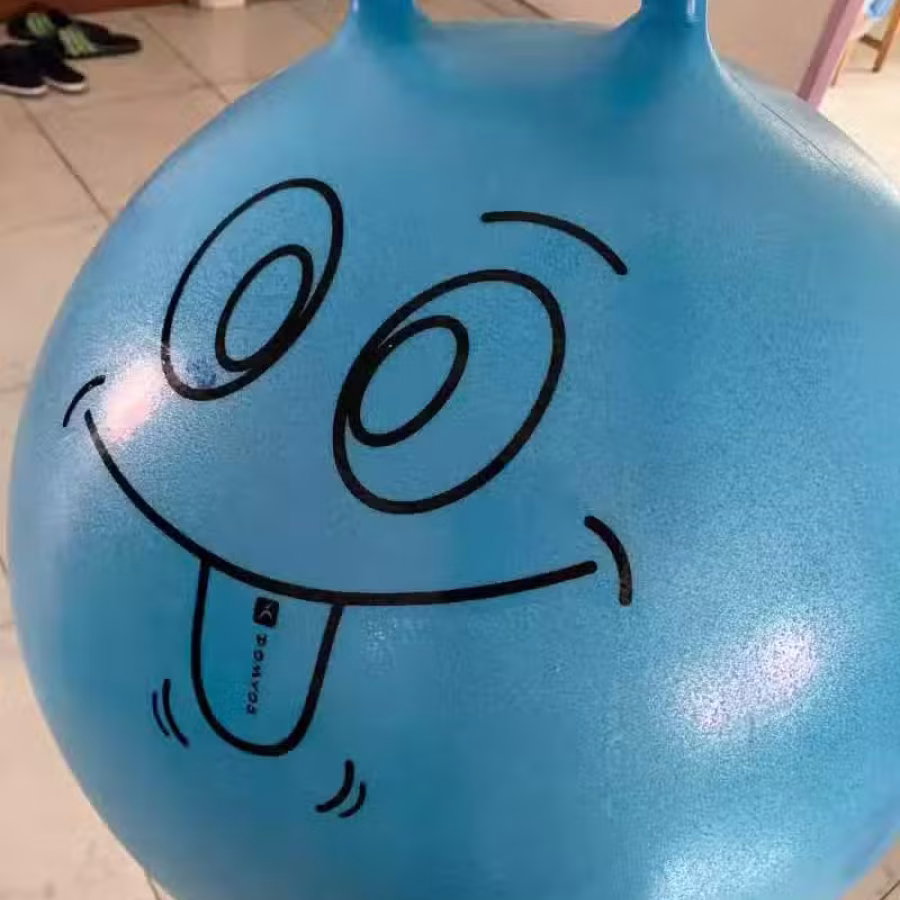 瑜伽球 图片 1