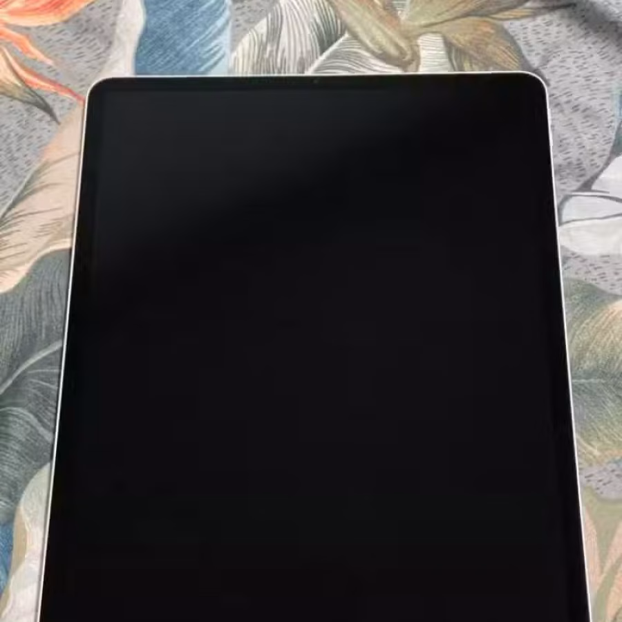 Ipad Pro 12.9 Wifi+Cell 256GB 4代 图片 2