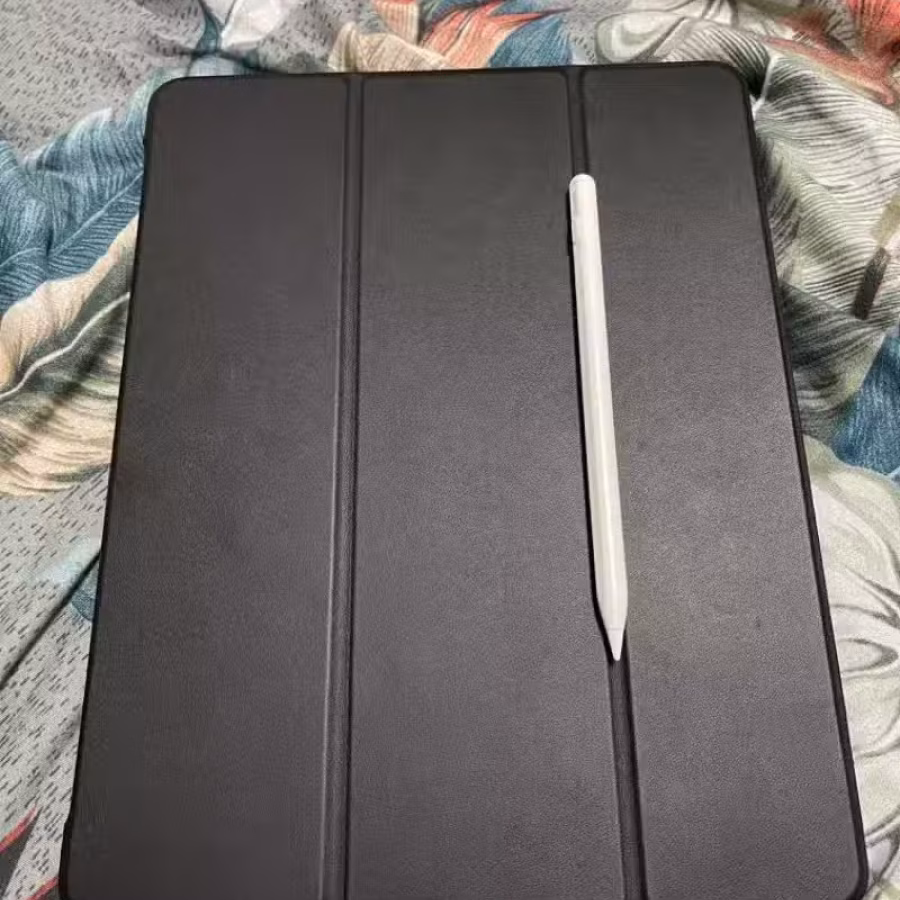 Ipad Pro 12.9 Wifi+Cell 256GB 4代 图片 5