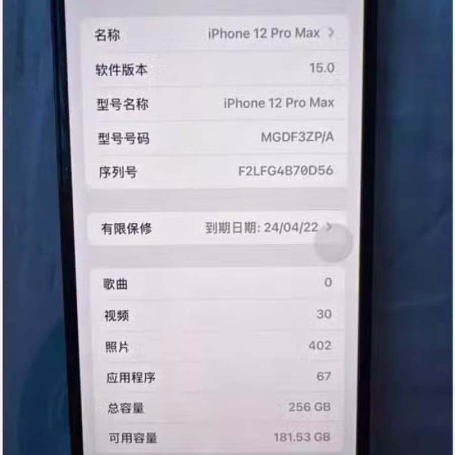 iPhone12promax256 图片 2