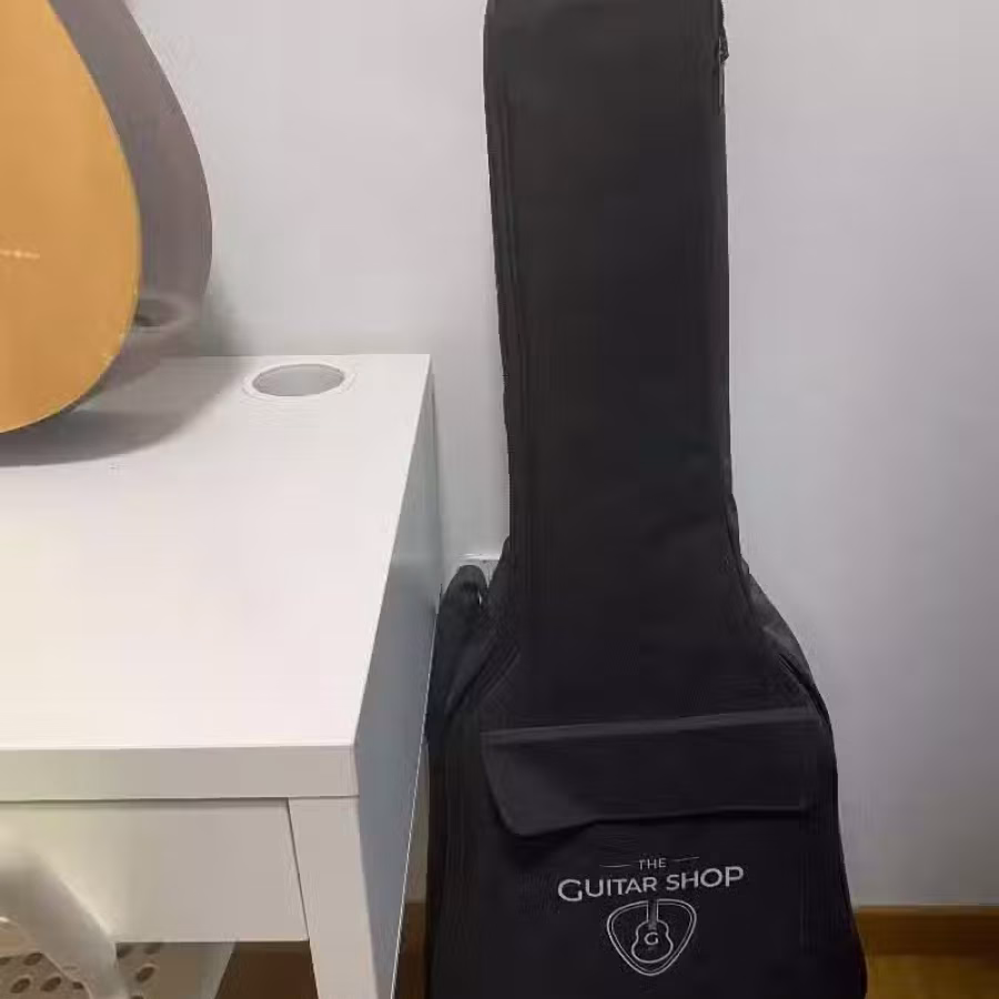 电箱吉他  图片 2