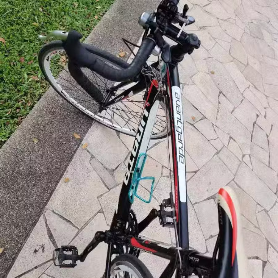 公路赛 图片 1