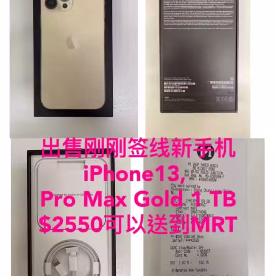 iPhone 13, Pro Max Gold 1TB 图片 5