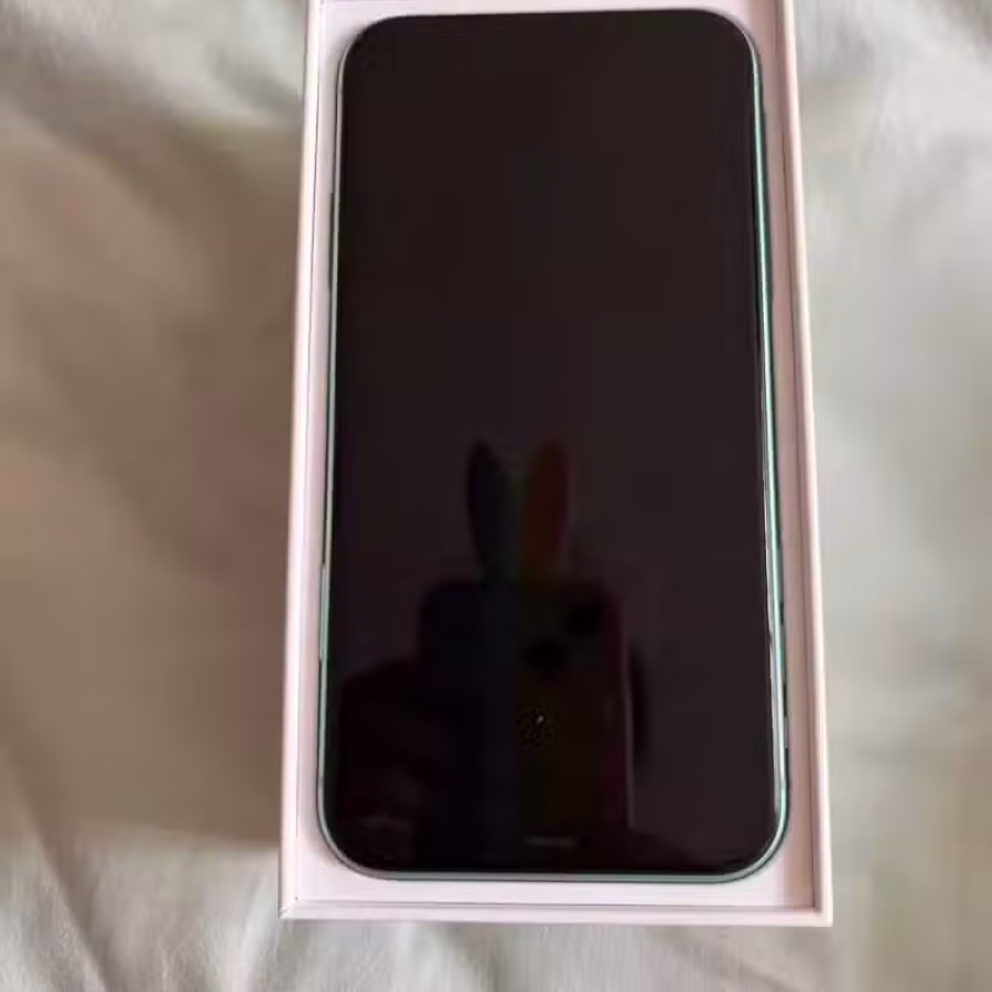 iPhone 11 图片 1