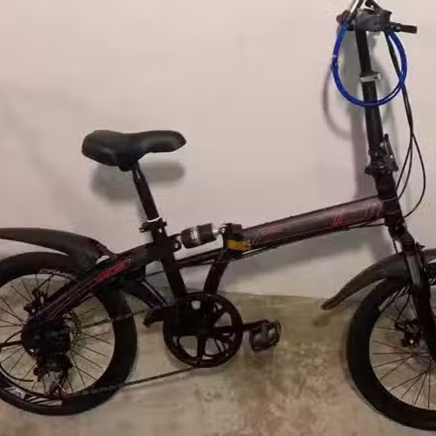 折式脚车 图片 4