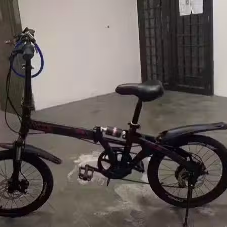 折式脚车 图片 6