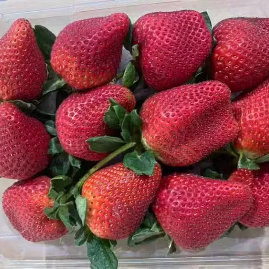   新鲜蔬菜蔬果 看看色彩缤纷 五彩斑斓的美味 图片 9