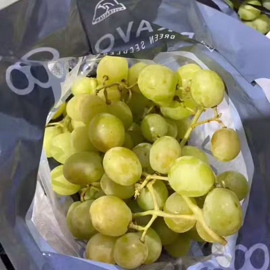   新鲜蔬菜蔬果 看看色彩缤纷 五彩斑斓的美味 图片 2