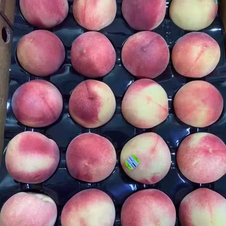   新鲜蔬菜蔬果 看看色彩缤纷 五彩斑斓的美味 图片 13