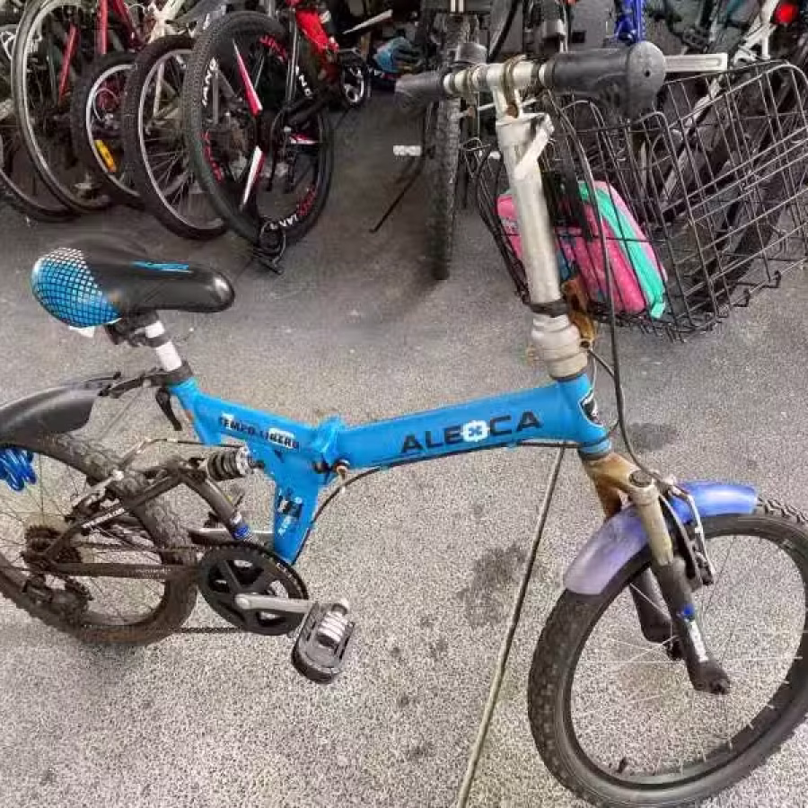 轻便自行车 图片 1