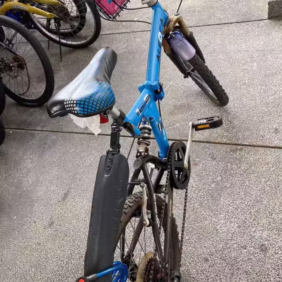 轻便自行车 图片 2