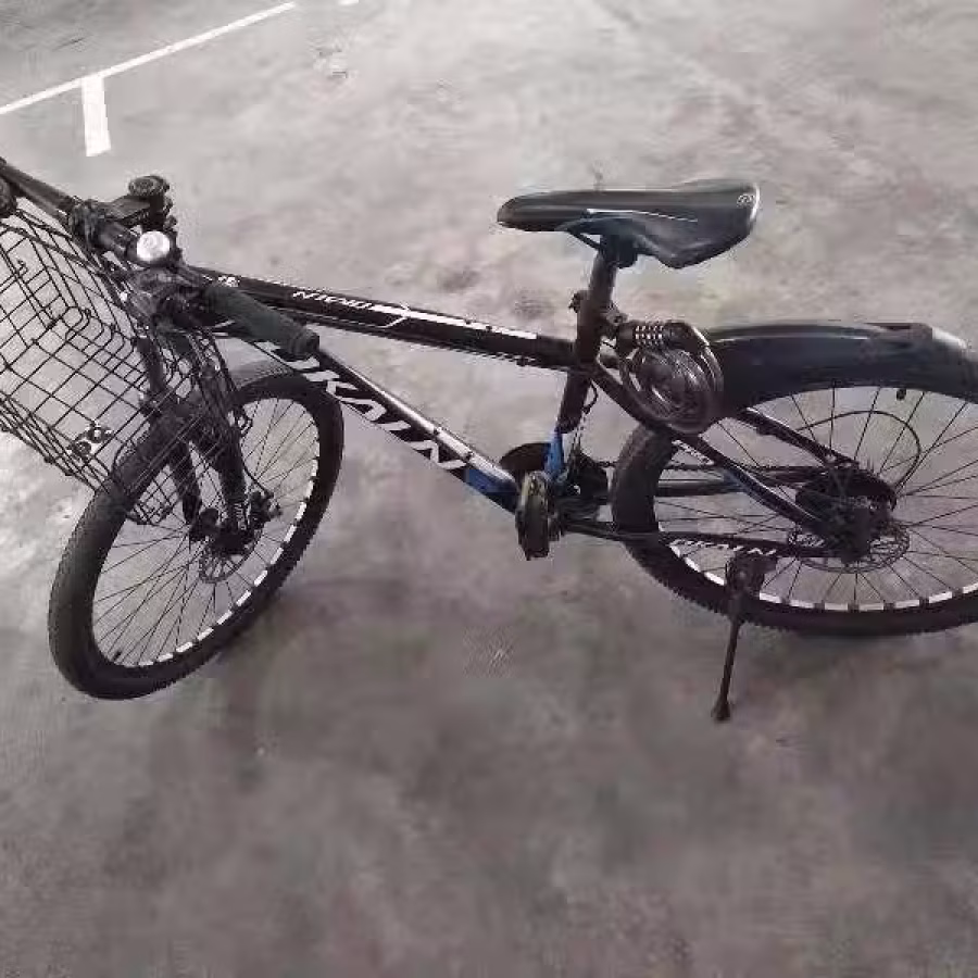 先驱二手自行车50 图片 1