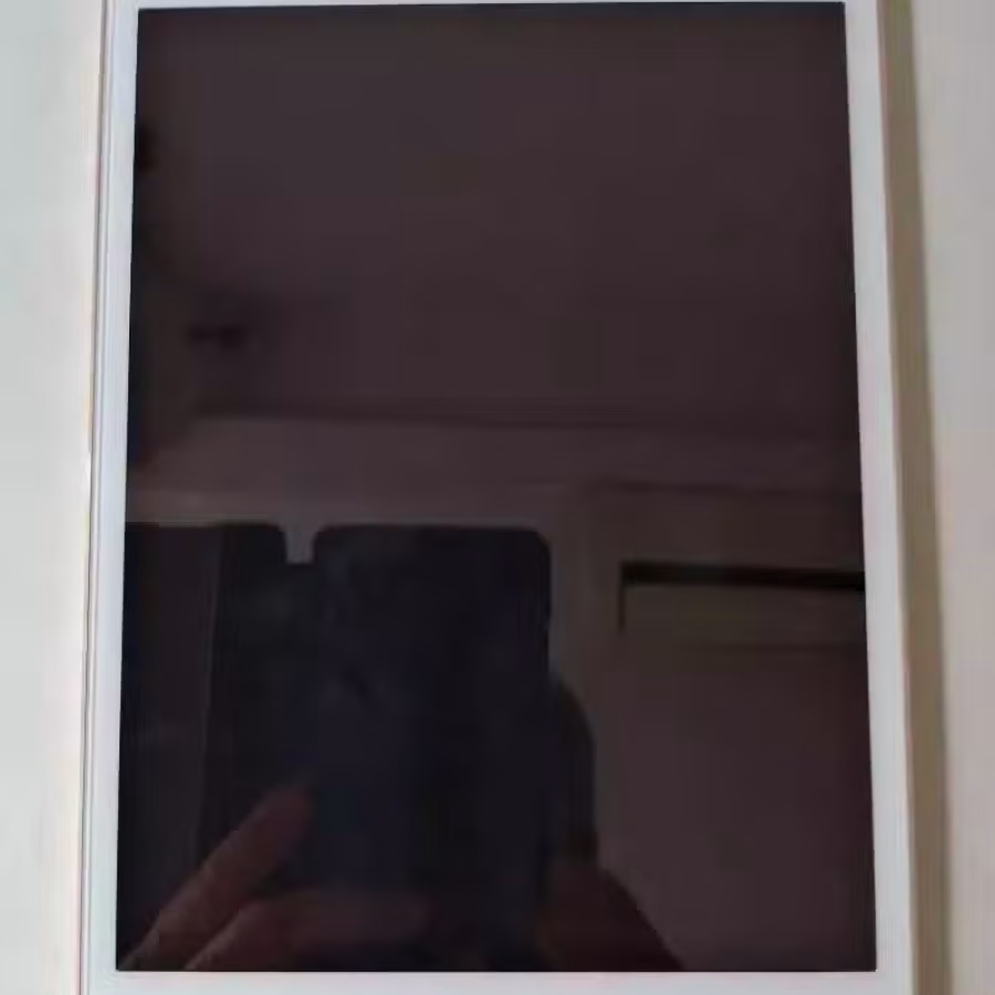 【卖几乎全新iPad mini4 64g】已卖 图片 3