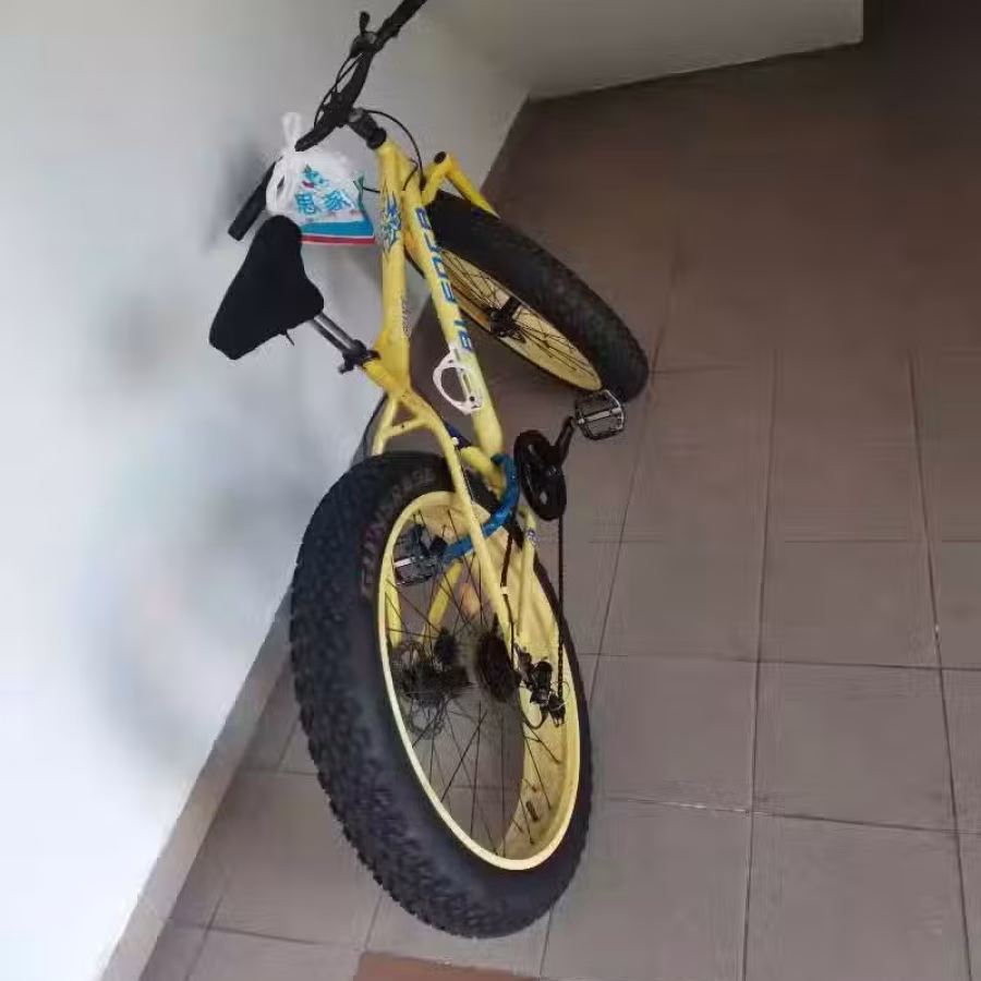 大轮自行车 图片 1