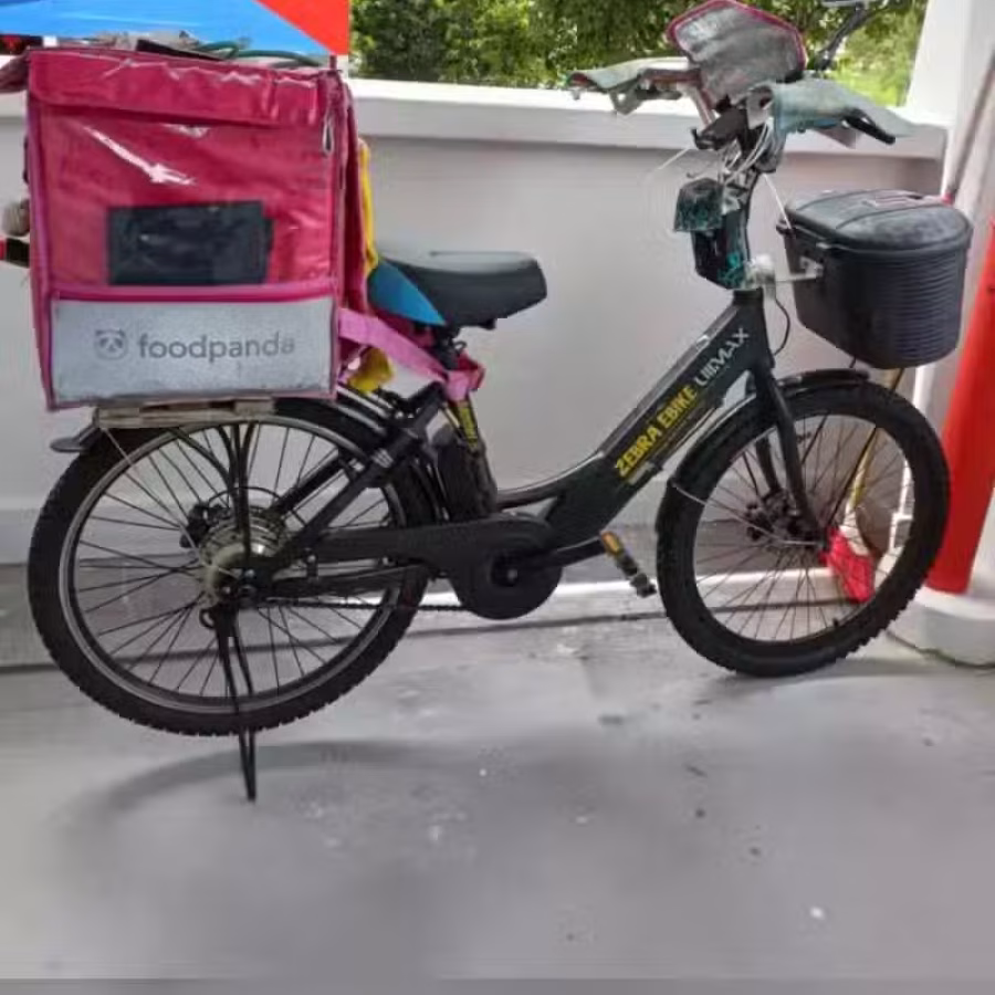 Zebra E-Bike 图片 3
