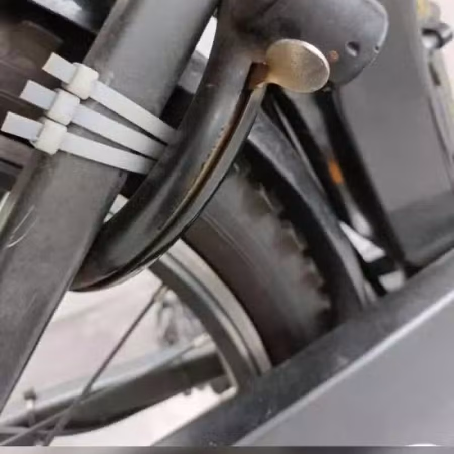 Zebra E-Bike 图片 4