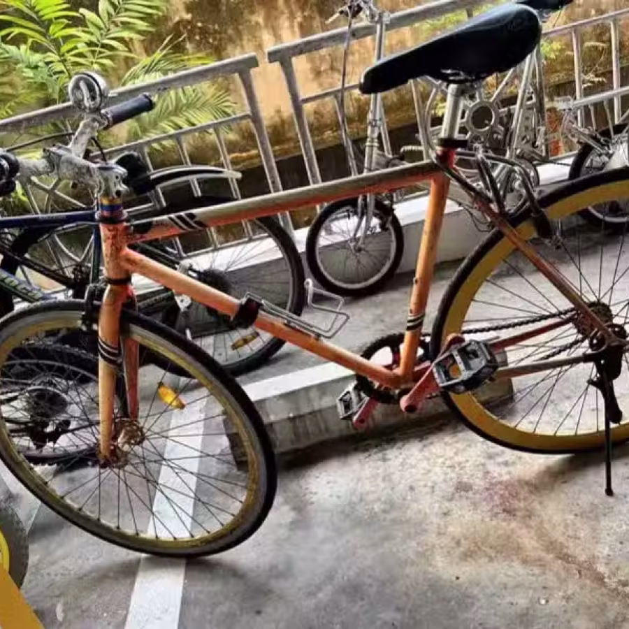 公路自行车 图片 1