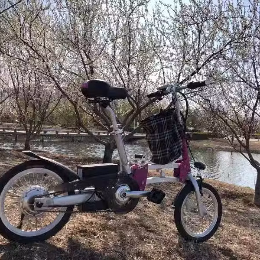 自行车 改装 图片 16