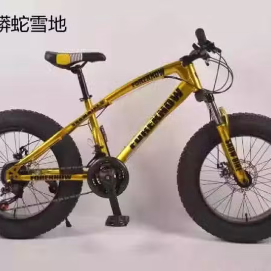 自行车 改装 图片 1