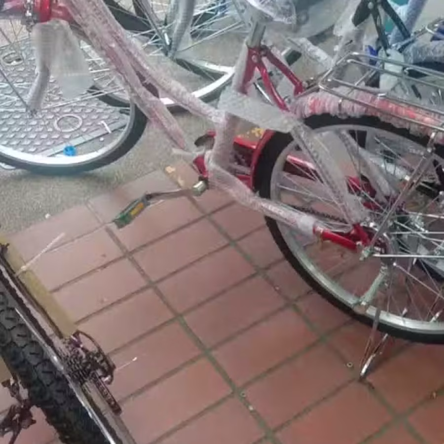 自行车 改装 图片 22