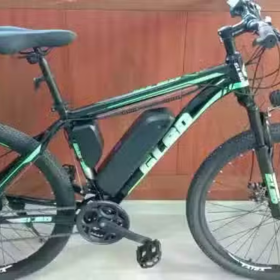 自行车 改装 图片 16