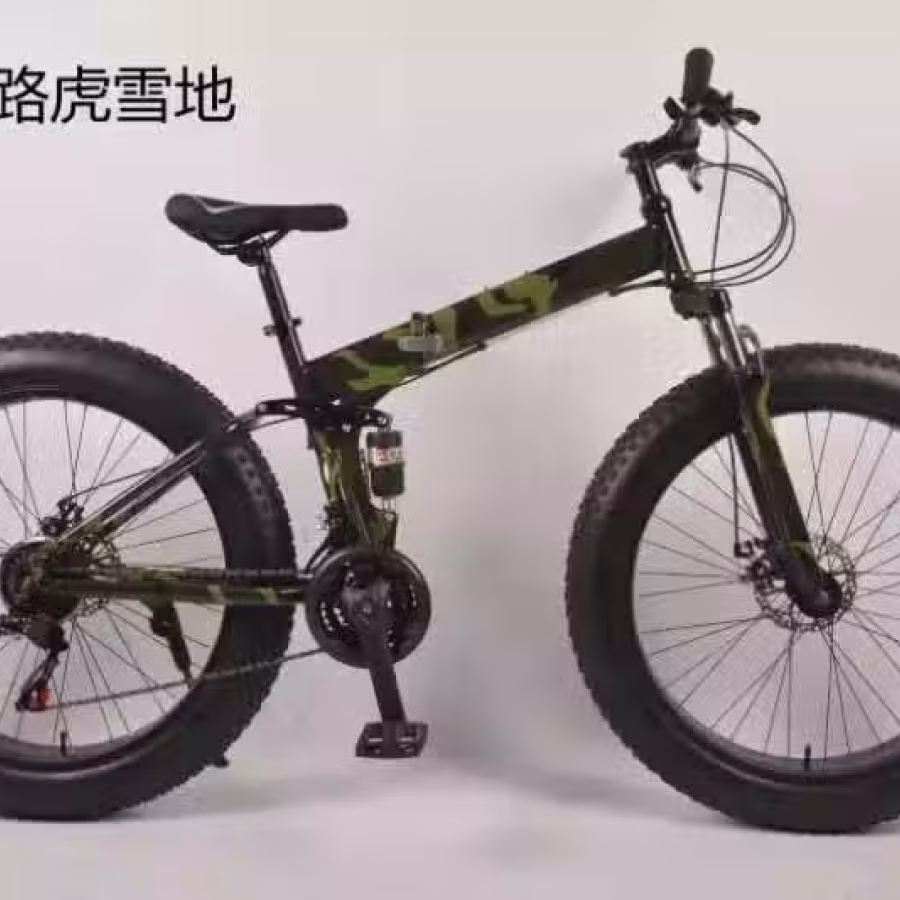 自行车 电动车改装 图片 15