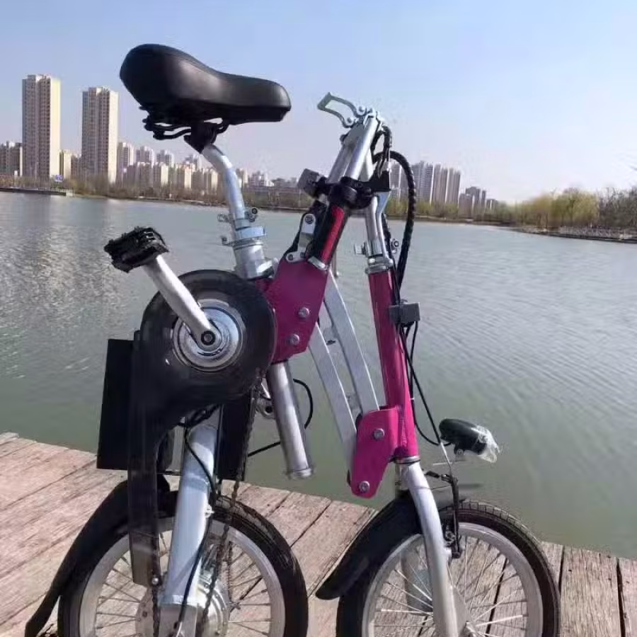 自行车 电动车改装 图片 21