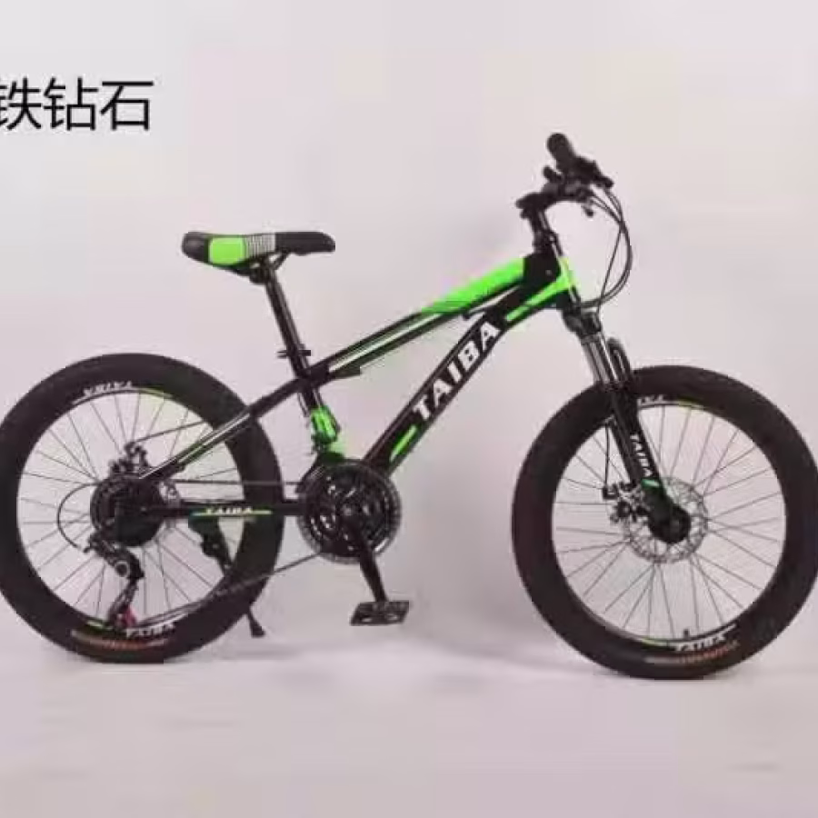 自行车 电动车改装 图片 6