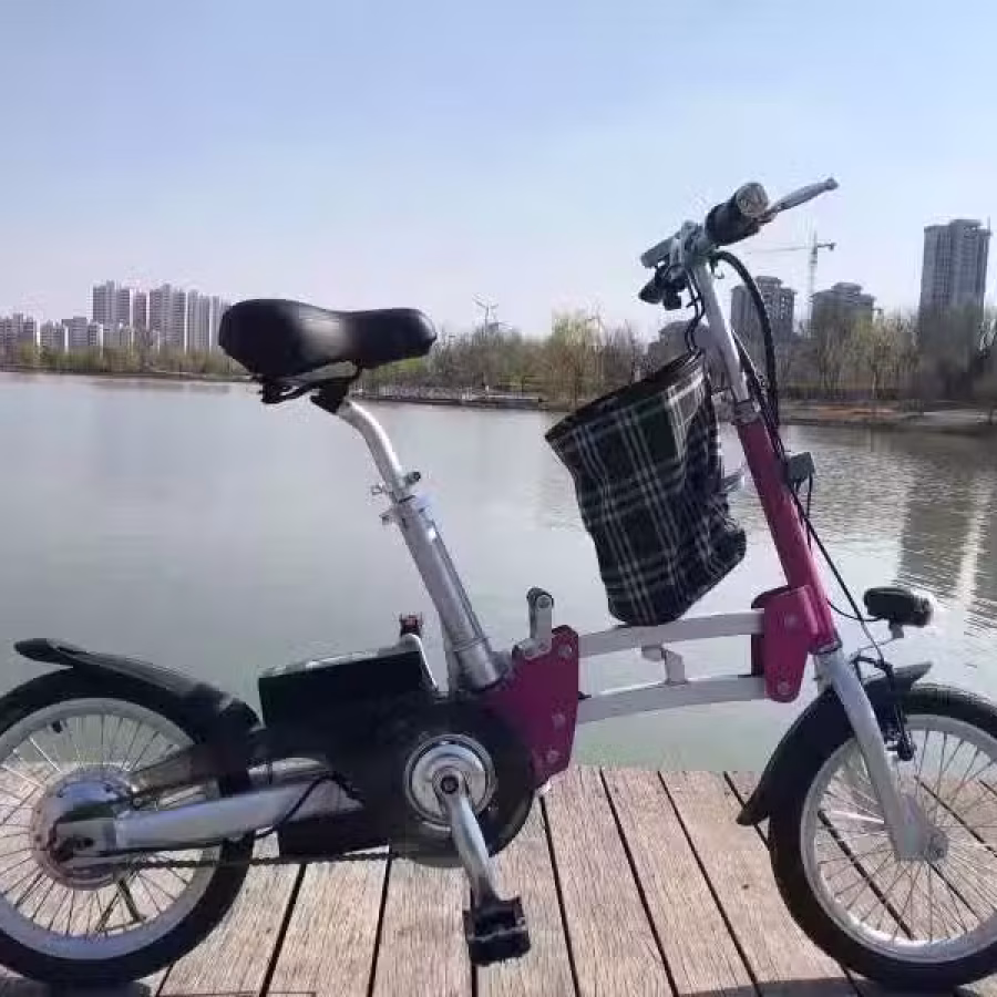 自行车 电动车改装 图片 9