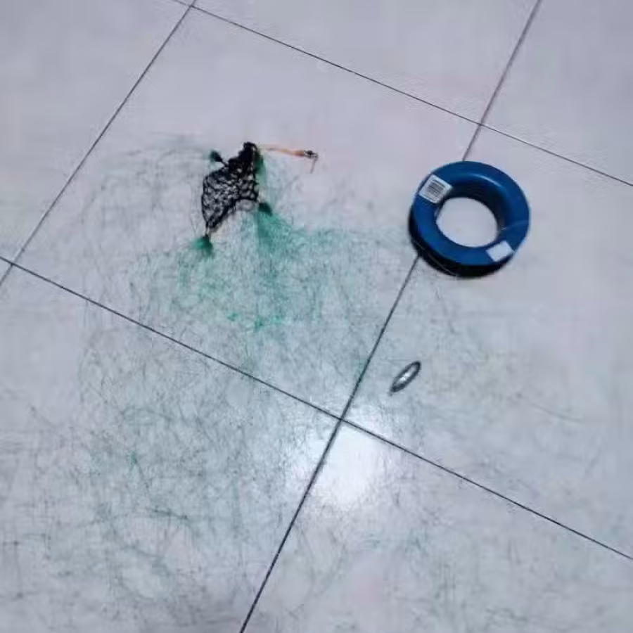 新加坡钓螃蟹和鱼网 图片 1