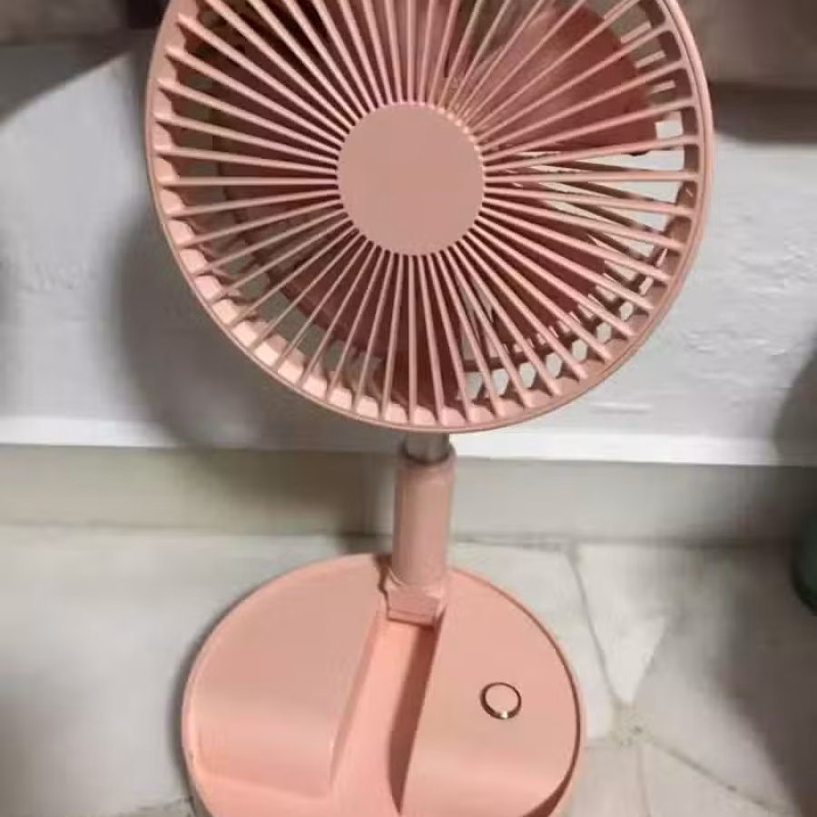粉红小风扇 图片 2