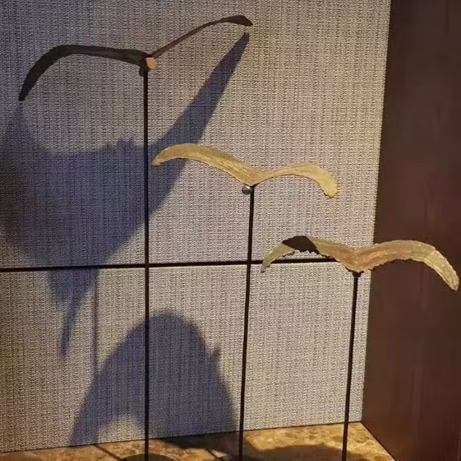 酒店二手艺术品大减卖 图片 2