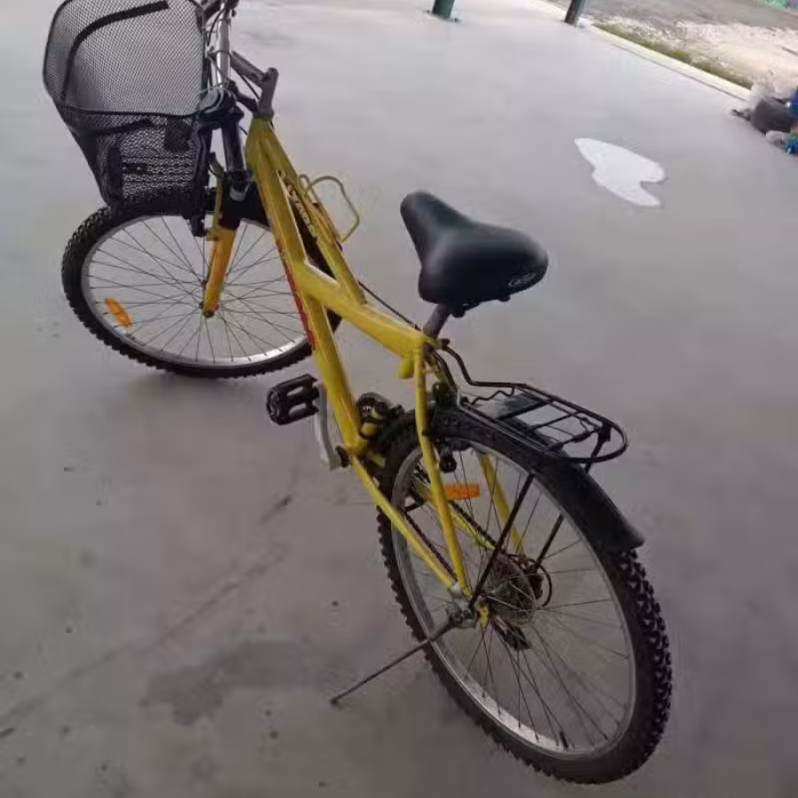 自行车 图片 1