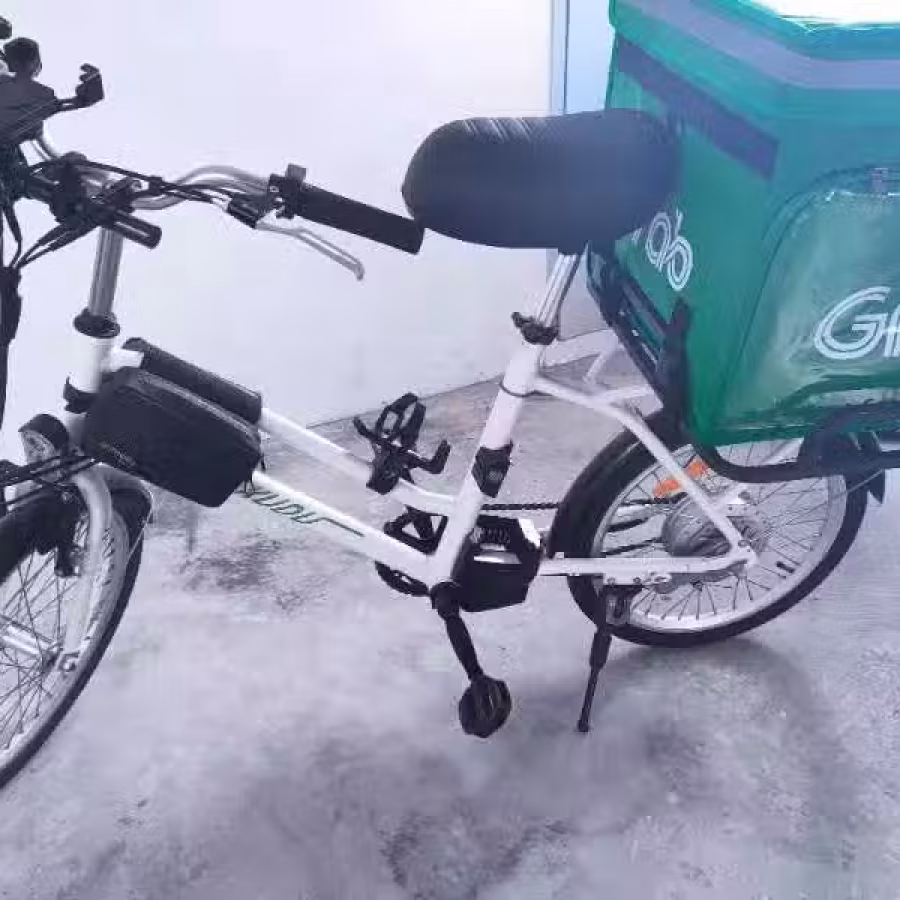 Kudu 电动自行车（36V电池哦） 图片 1