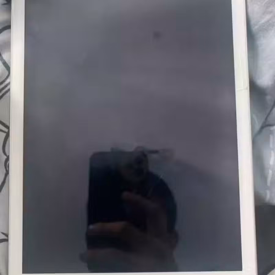 Ipad 图片 1