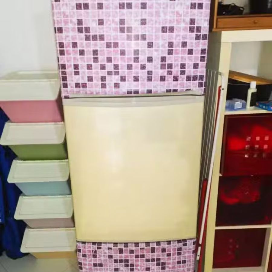 搬家处理旧冰箱 图片 1