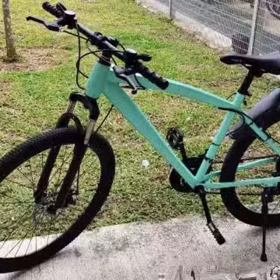 自行车，巴西利地铁站附近 图片 2