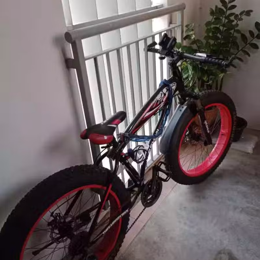 出售闲置脚车 图片 1
