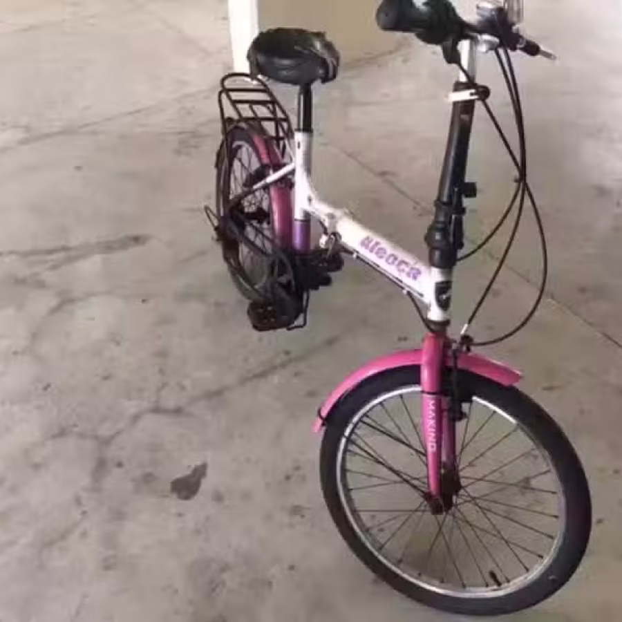 二手自行车 图片 2