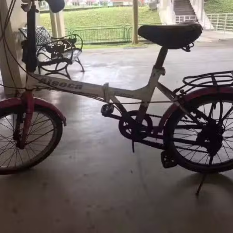 二手自行车 图片 4