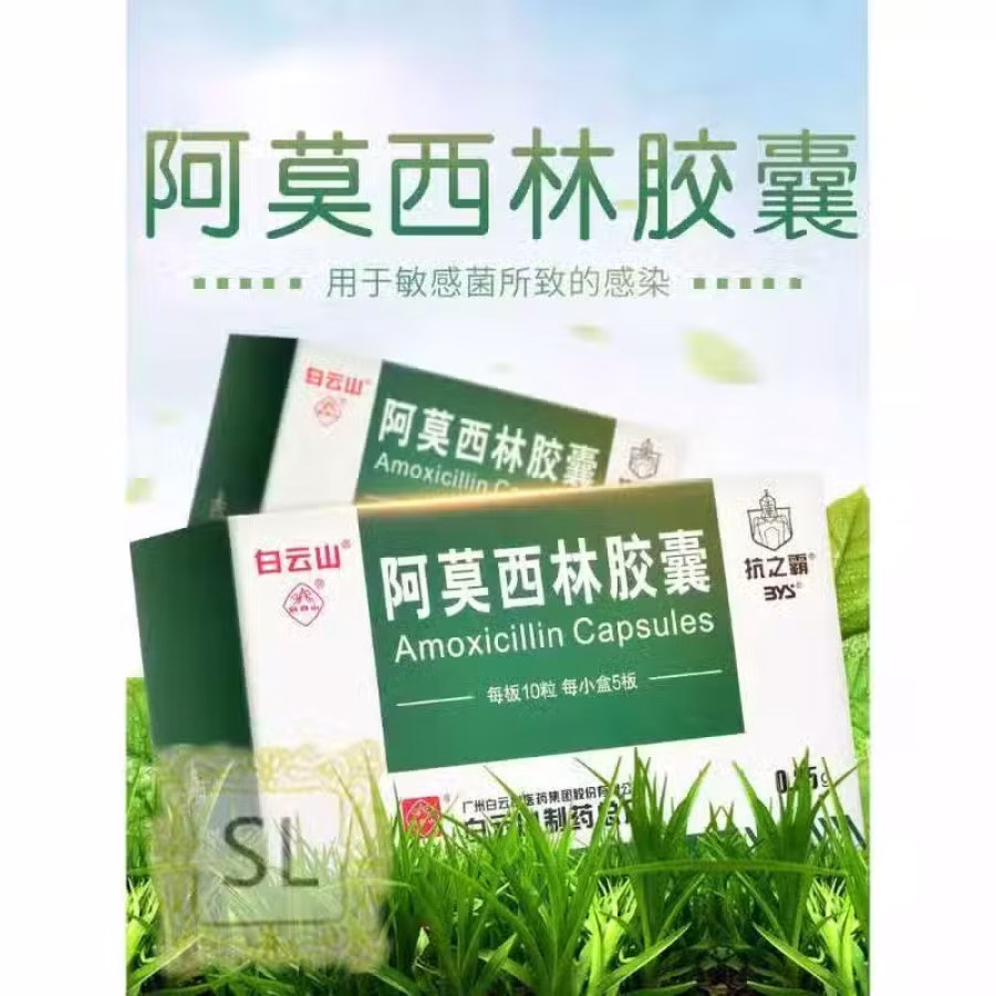 特效消炎药阿莫西林 图片 1