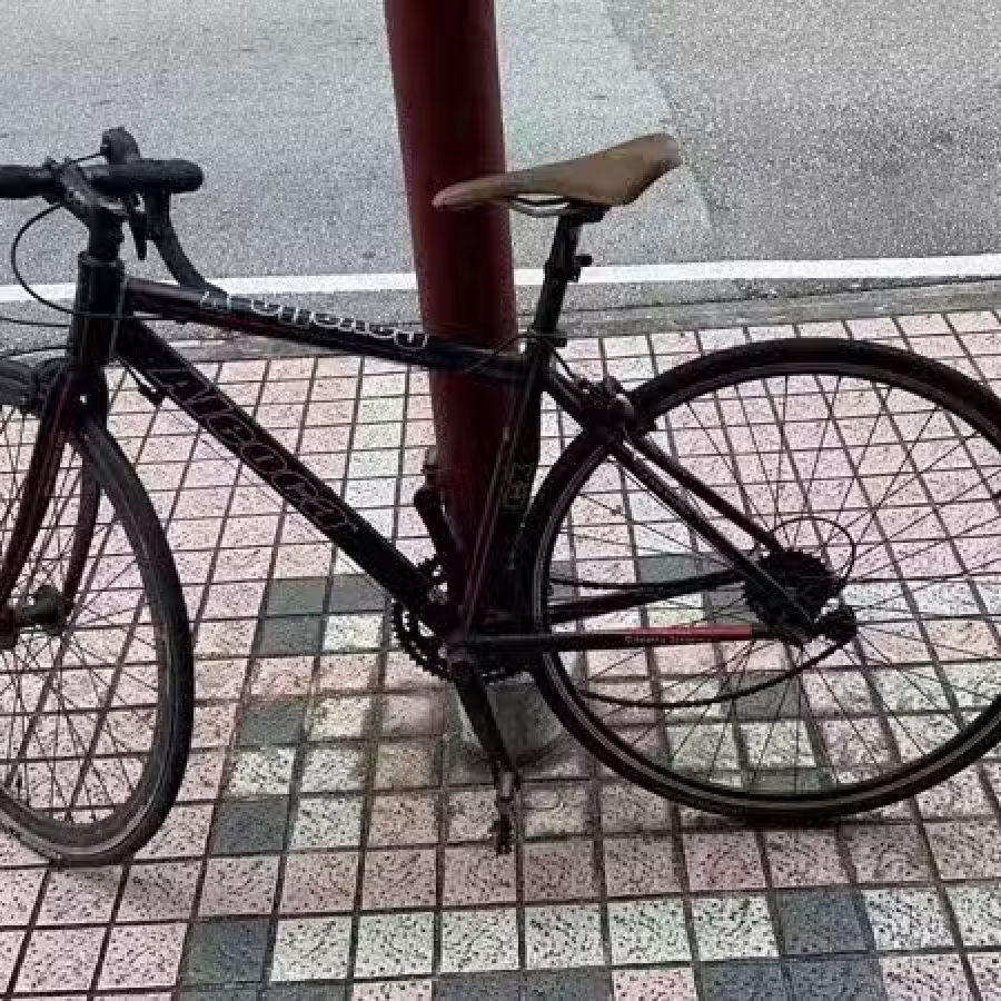 二手自行车 图片 1