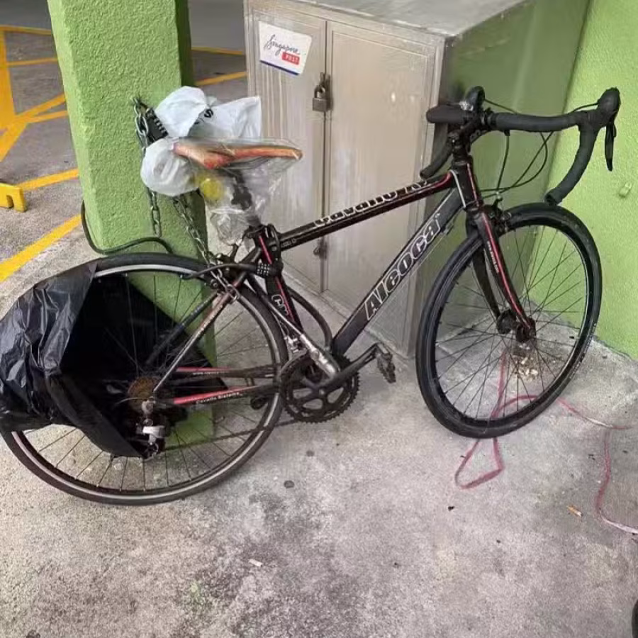 二手自行车 图片 2