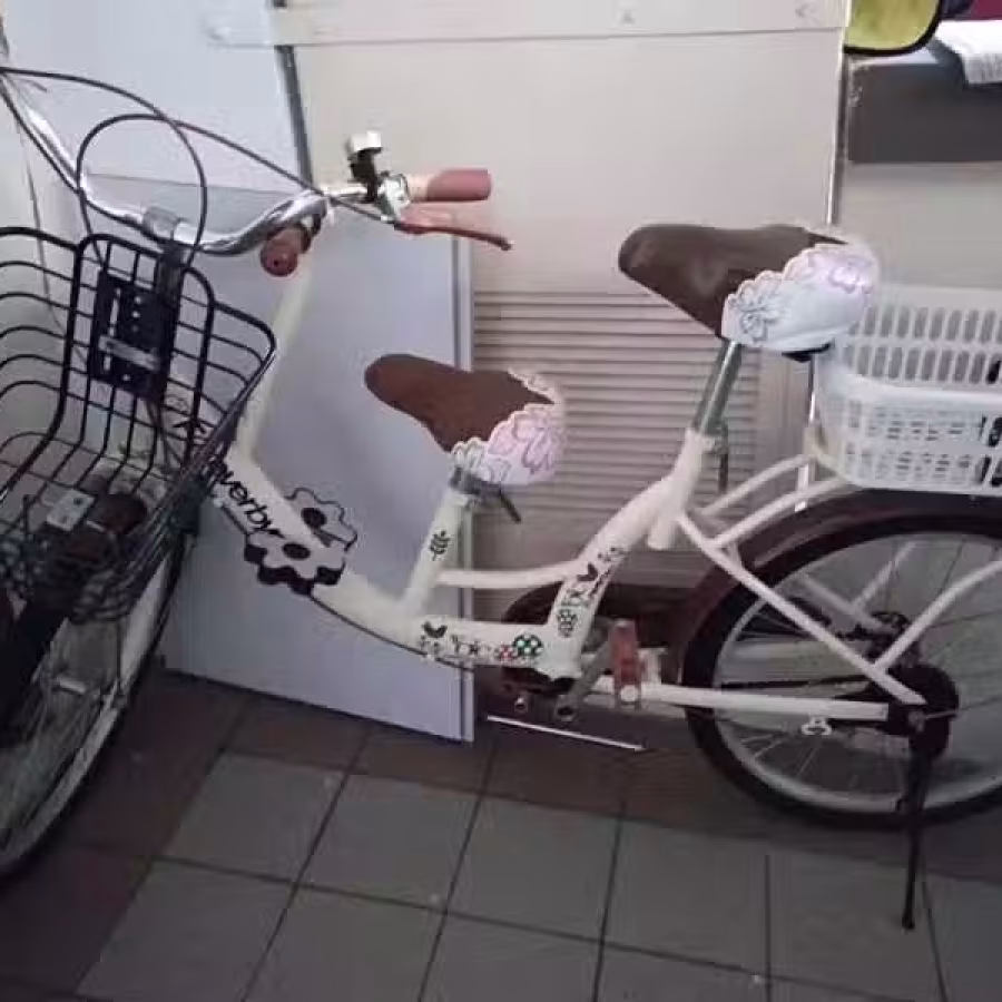 亲子自行车 图片 1