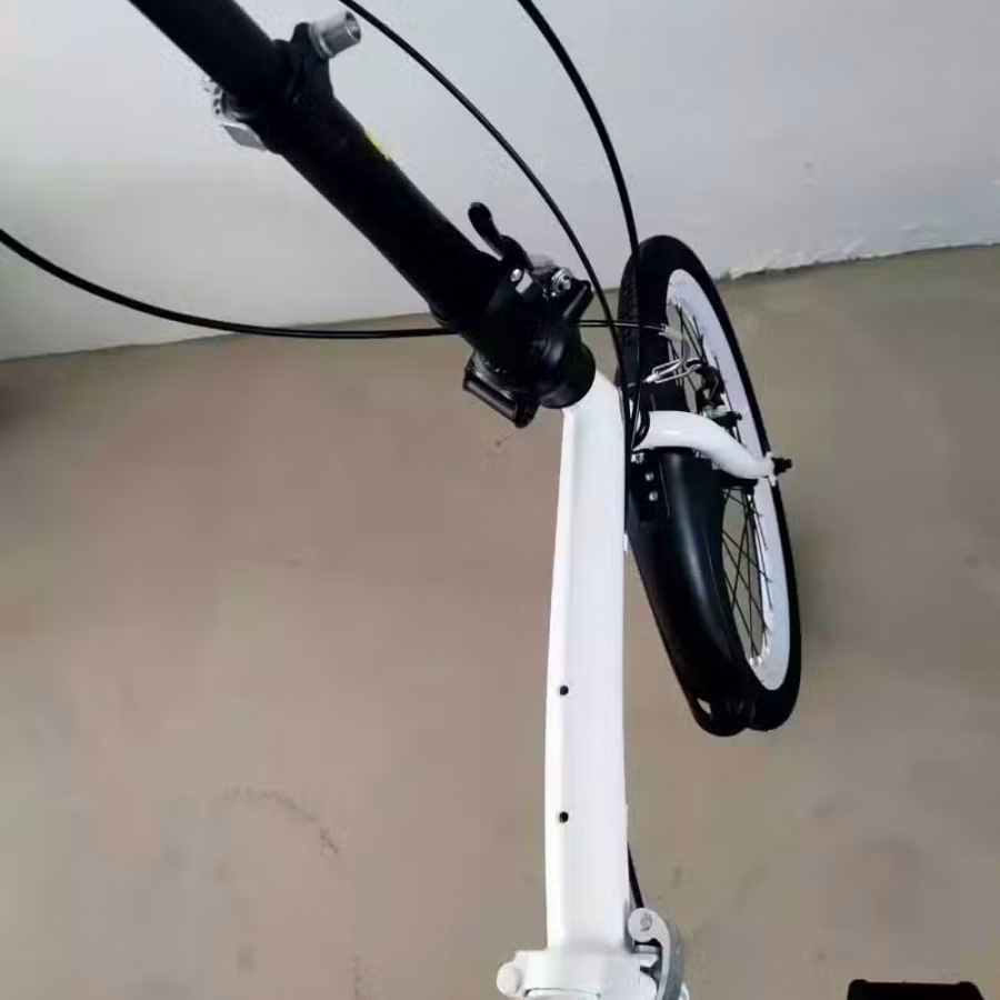 20寸折叠车，质量好，新加坡免费送货 图片 8
