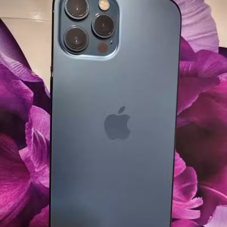 9.9成新苹果手机，原机蓝牙耳机 12pro Max 256GB 图片 1