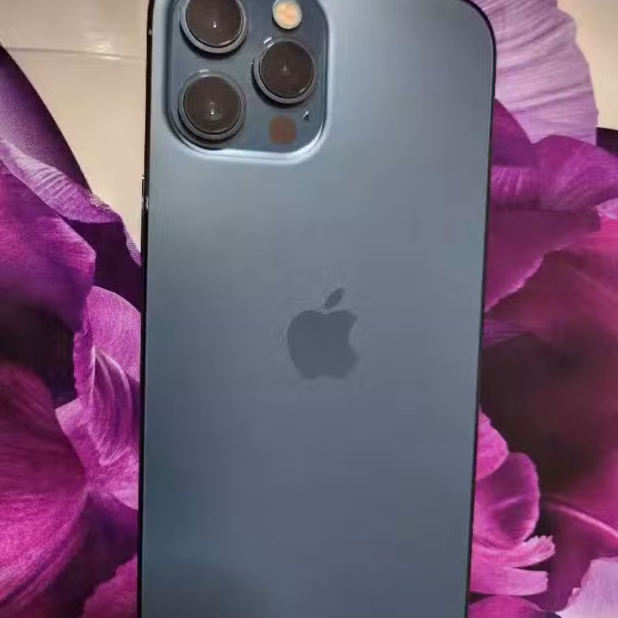 9.9成新苹果手机，原机蓝牙耳机 12pro Max 256GB 图片 2