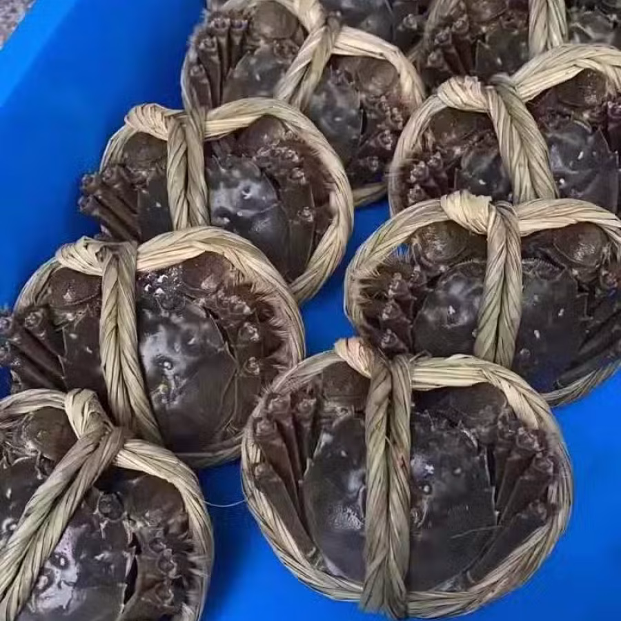 大闸蟹 图片 2