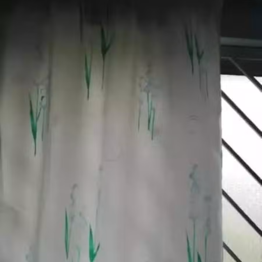窗帘 图片 3
